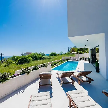 Garden Rose * Orašac