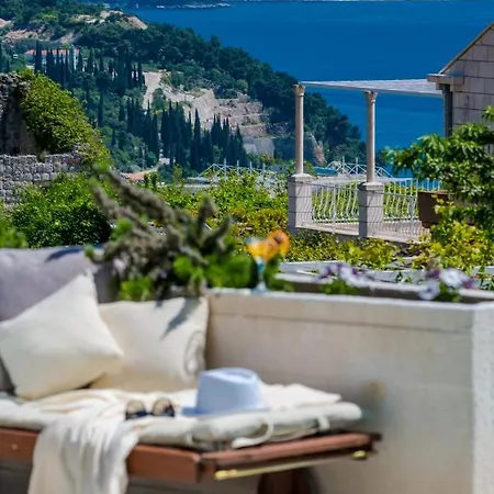 Garden Rose * Orašac