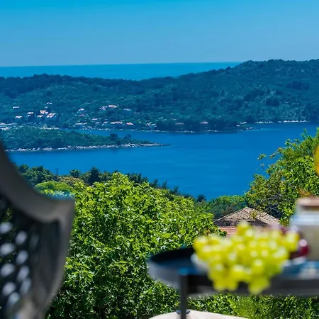 Garden Rose Villa Orašac