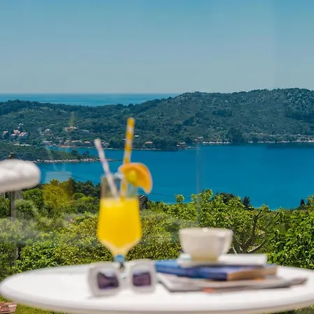 Garden Rose * Orašac