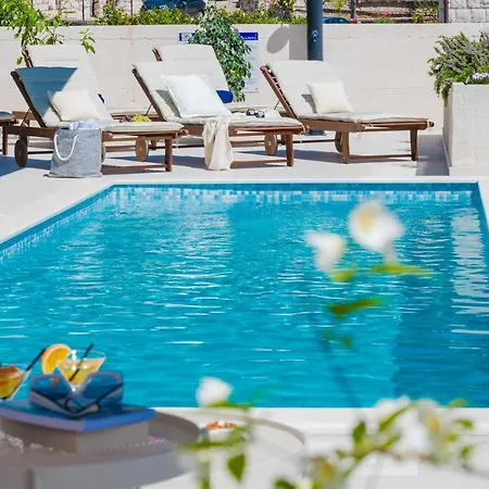 Garden Rose * Orasac