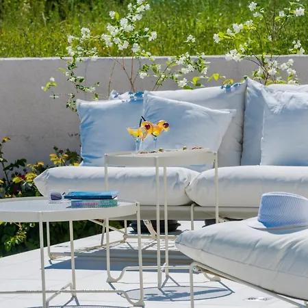 Garden Rose * Orasac